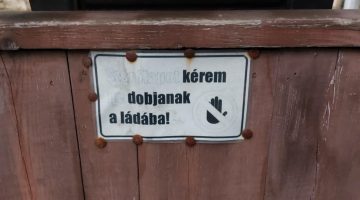 622372303 25700990836261729 1729711740820246062 n