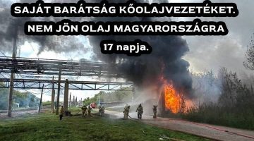 634797935 1203477418613067 6633600672526343795 n