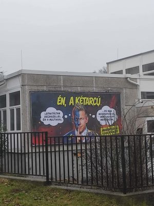 639512299 1596111428303930 1729329631002391009 n