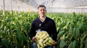 641637977 26563545816586515 2585052159753311361 n (1)