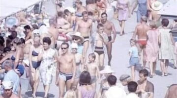 65144580_2724736627554493_8981909761452670976_n