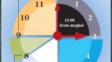 659639466 2986442558213824 7217390121249164689 n