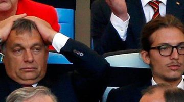 663088274 10238913100020881 2540649166471780726 n