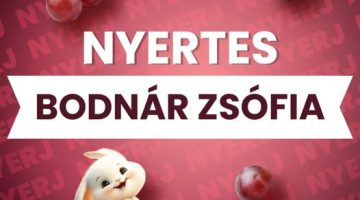 666485806 1397919592142178 1122055362697263801 n