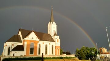 66791999_2527683570596603_8488921668482236416_n (1)