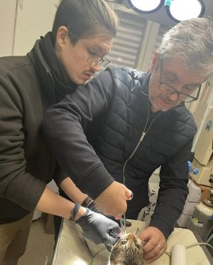 671000688 1514505333371089 6229726495935761466 n