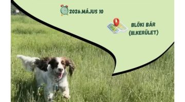 675970530 1346429620850001 1349039878467561637 n