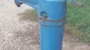 678817073 1993240437938039 8583793275321790642 n