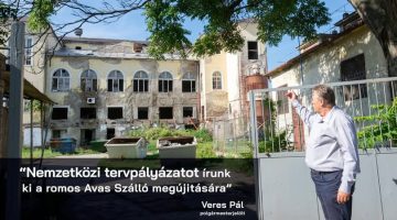 69656574 702446086848527 5456011520066453504 n