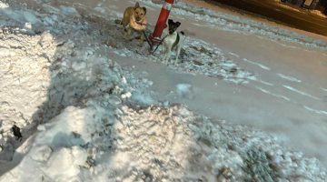 6f816c9c0b05460ca56863f07d13b1f4