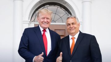 7mX44IErGdSAOCHks-xl