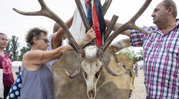 7mpGiis2UGDZWGLWs-xxl