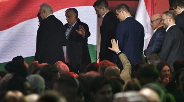 800a0b1b 8df4 4b43 b821 5fdde65ce452