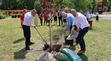 825fd21651b5459fa815576f3e960c45