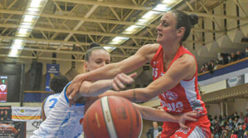 83923739kosarKSCDVTKMk0005-scaled