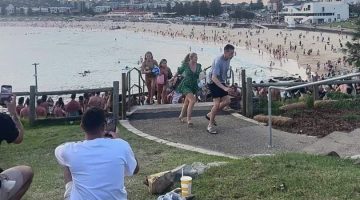 8464be3e cec4 4edb 9484 8128a01ef6f0