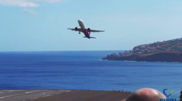 874059_872739_madeira