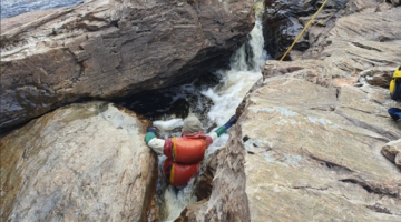 87l5Xft8yxbYJKPQs-lg