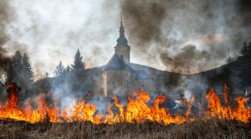 8b2roswhtjelwglws lg