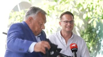 8ey4yergd0znosf8s xxl