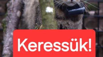 8fgbfhzweevrm3x2s lg