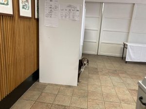 8kpasbvkaltdunn6s lg