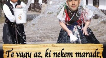 92929055_129097068701255_573947053973962752_n