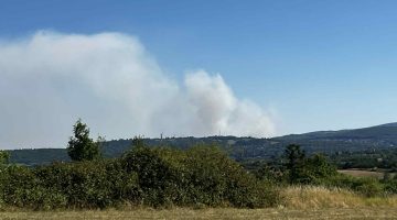 96065bcc f27e 48c8 b969 0c0f4751610f