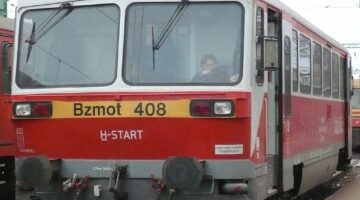 Bzmot_IP