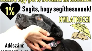 Csömöri-Állatvédők-1-százalék-04_2020