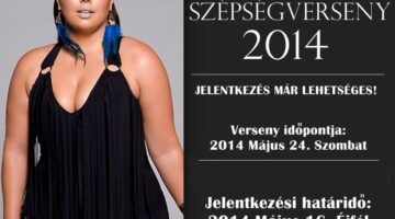 DD2014_plakat