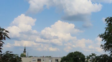 IMG_0968 (1)