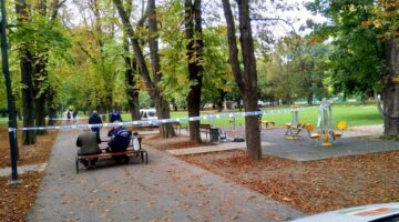 IMG_20201007_125331