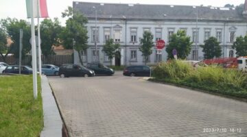 IMG_20230710_161232 (1)