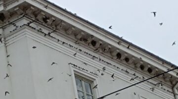 IMG_20240914_093931
