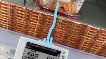 Inked284644207_551991183071196_2743762589657334179_n_LI