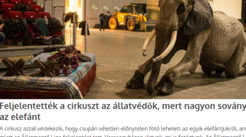 Képernyőkép 2020-11-15 074301