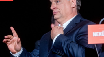 Képernyőkép 2020-11-25 173757
