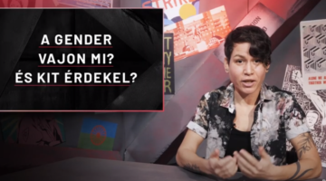 Képernyőkép 2020-11-28 134523