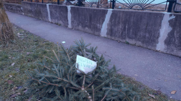 Képernyőkép 2020-12-29 080302