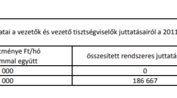 Képernyőkép 2021-03-01 114324