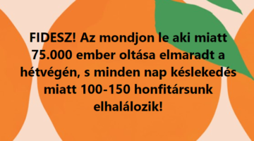 Képernyőkép 2021-03-11 122021
