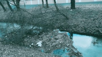 Képernyőkép 2021-03-16 193353