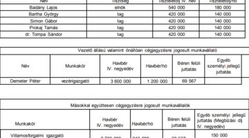 Képernyőkép 2021-04-19 201121