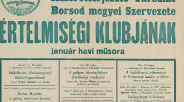 Képernyőkép 2021-05-02 073419