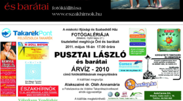 Képernyőkép 2021-05-11 181501