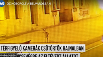 Képernyőkép 2021-05-27 202846