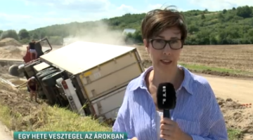 Képernyőkép 2021-08-08 064414