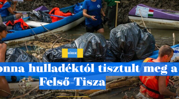 Képernyőkép 2021-08-10 064858