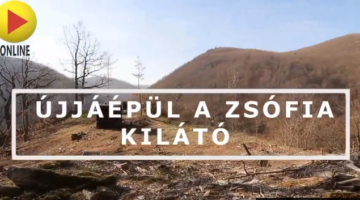 Képernyőkép 2021-09-18 064544